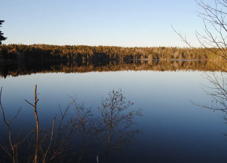 Fraser Lake in evening light, the far shore's forest reflected in still water