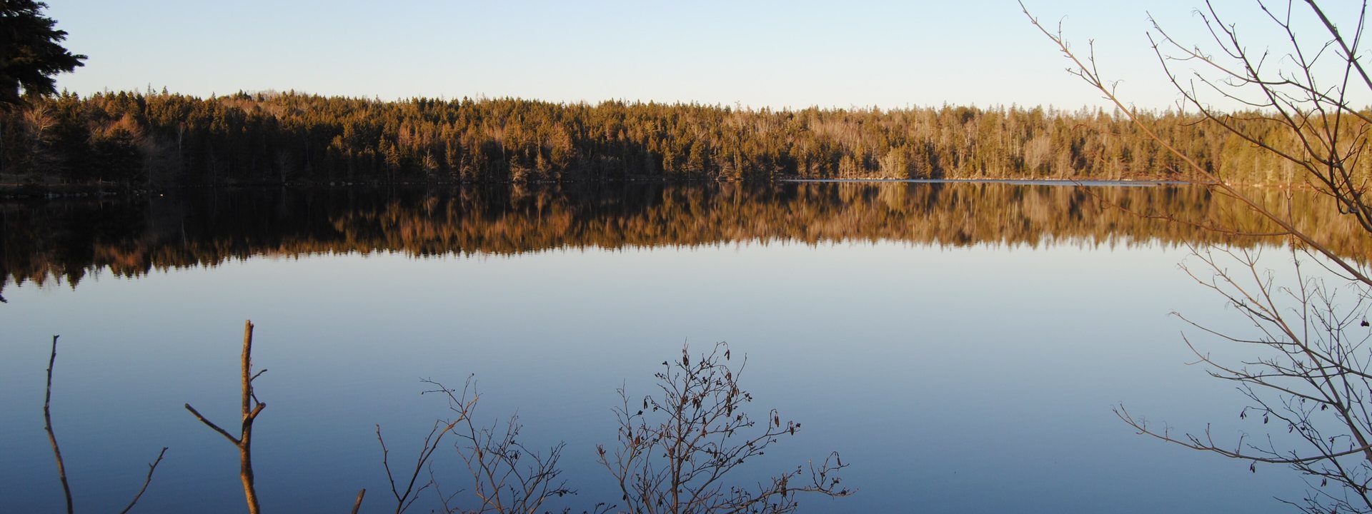 Fraser Lake in evening light, the far shore's forest reflected in still water